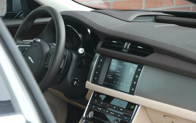 Jaguar XF cena 125990 przebieg: 23000, rok produkcji 2018 z Łasin małe 781